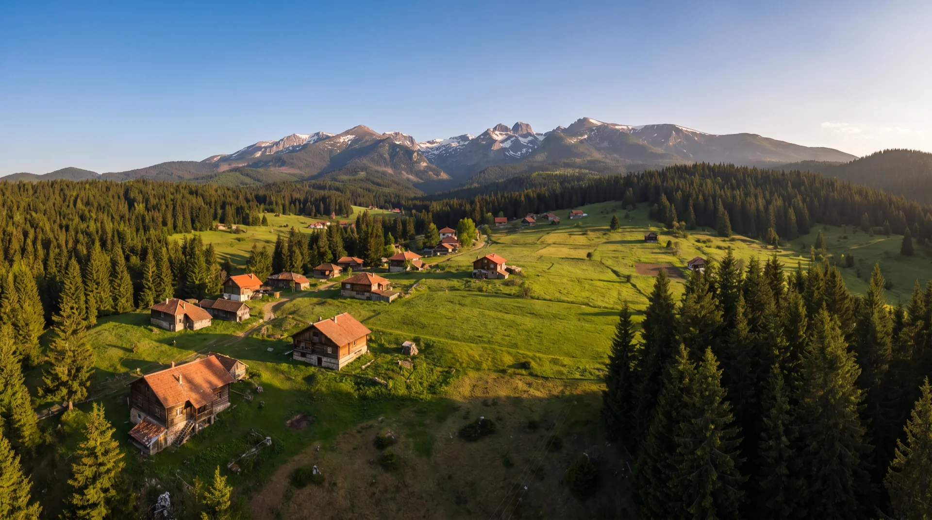 Govedartsi