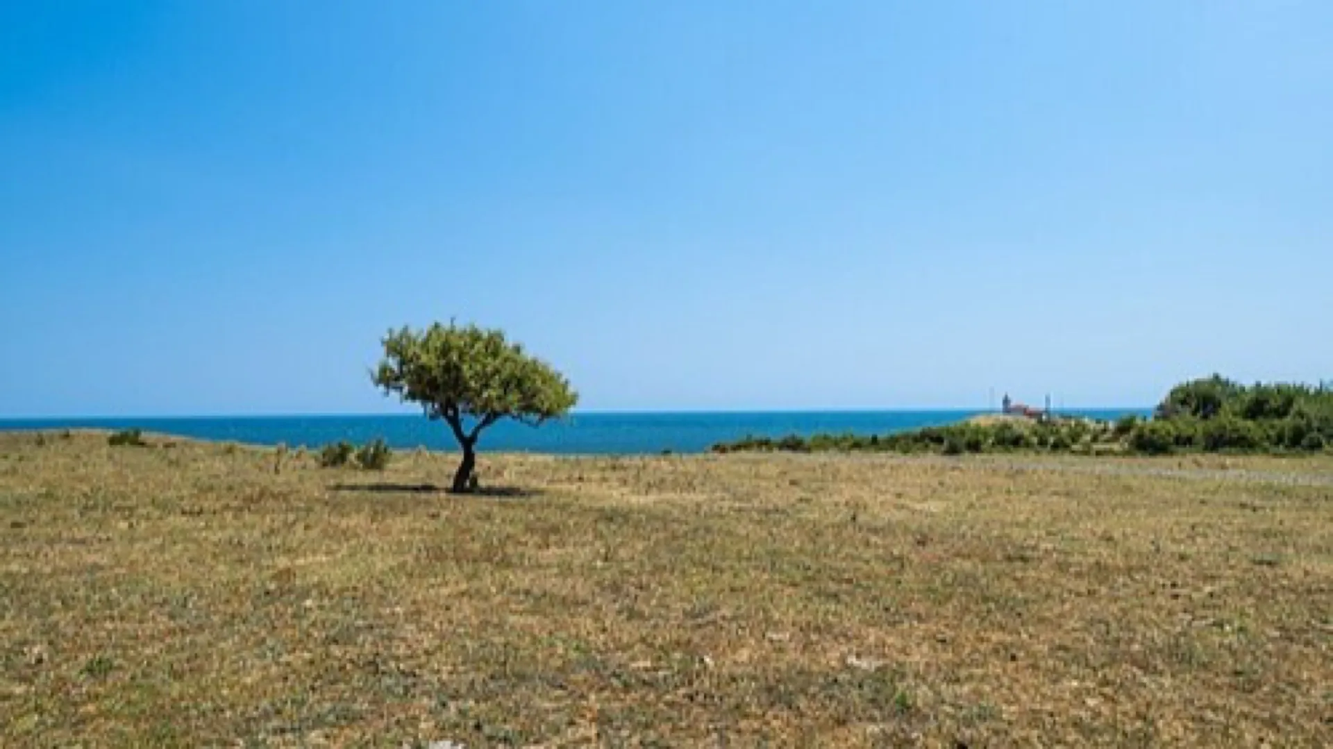 Cape Emine