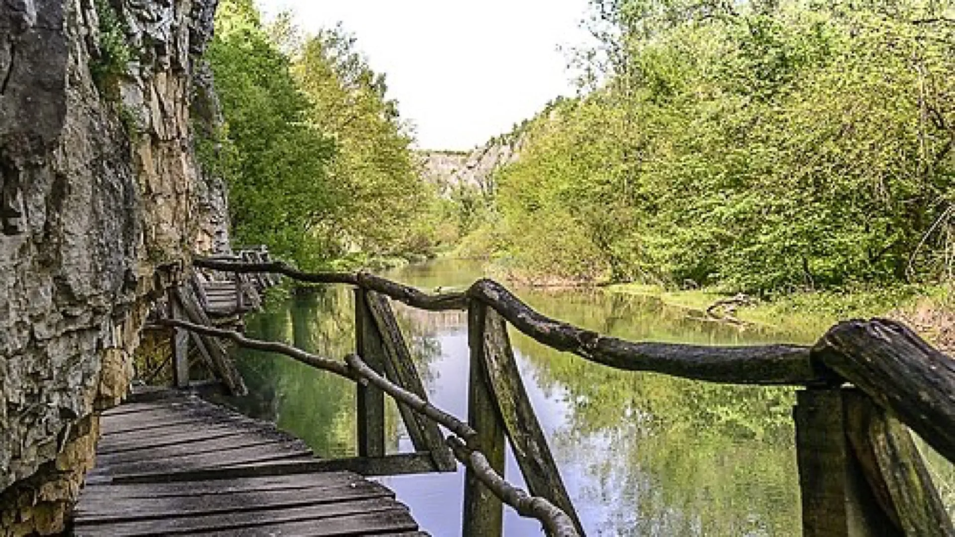 Zlatna Panega karst springs