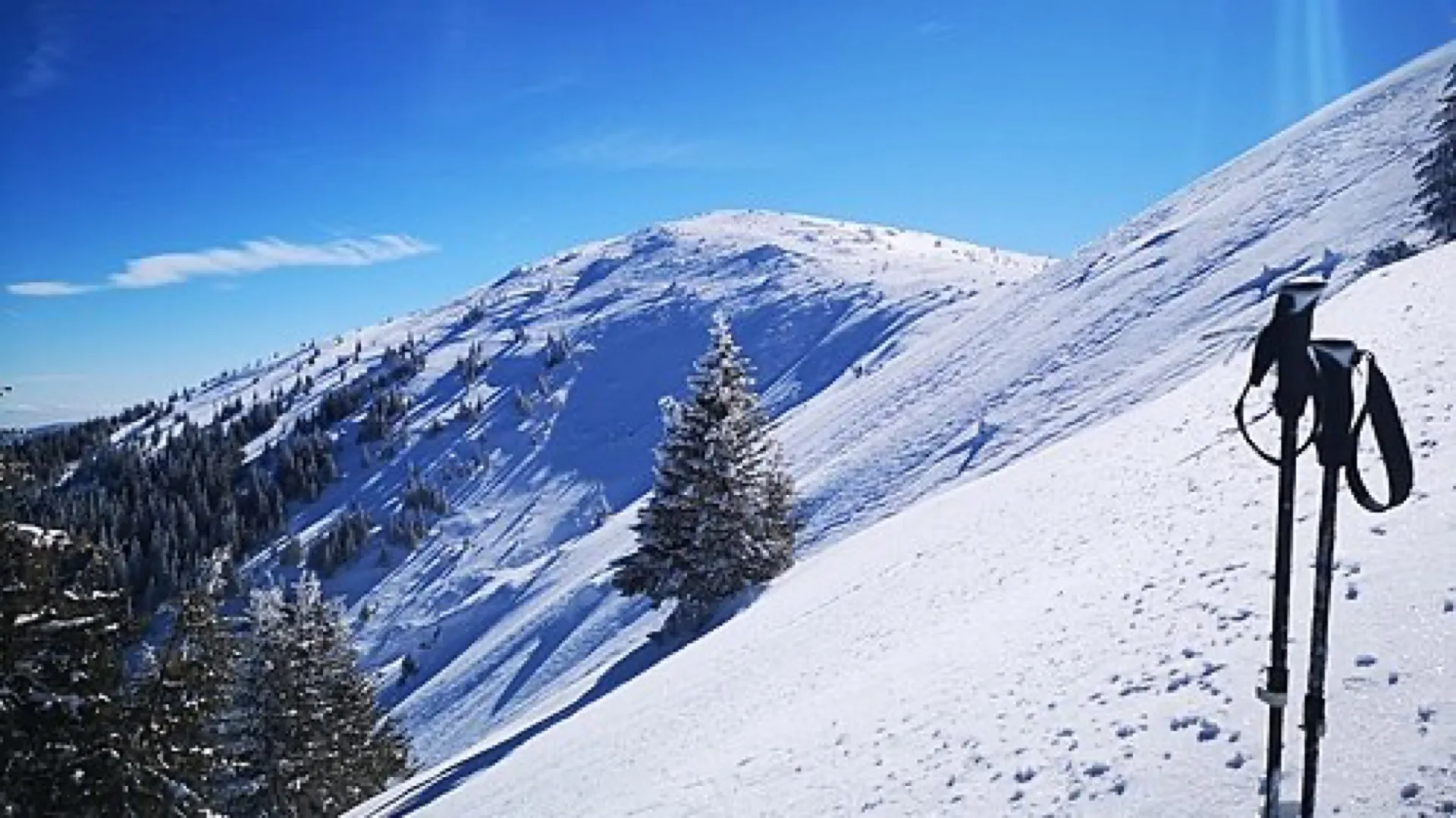 Kom–Emine Trail: Western Stara Planina Section