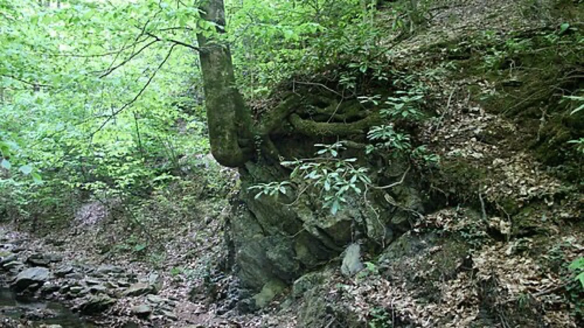 Lopushnitsa River Valley