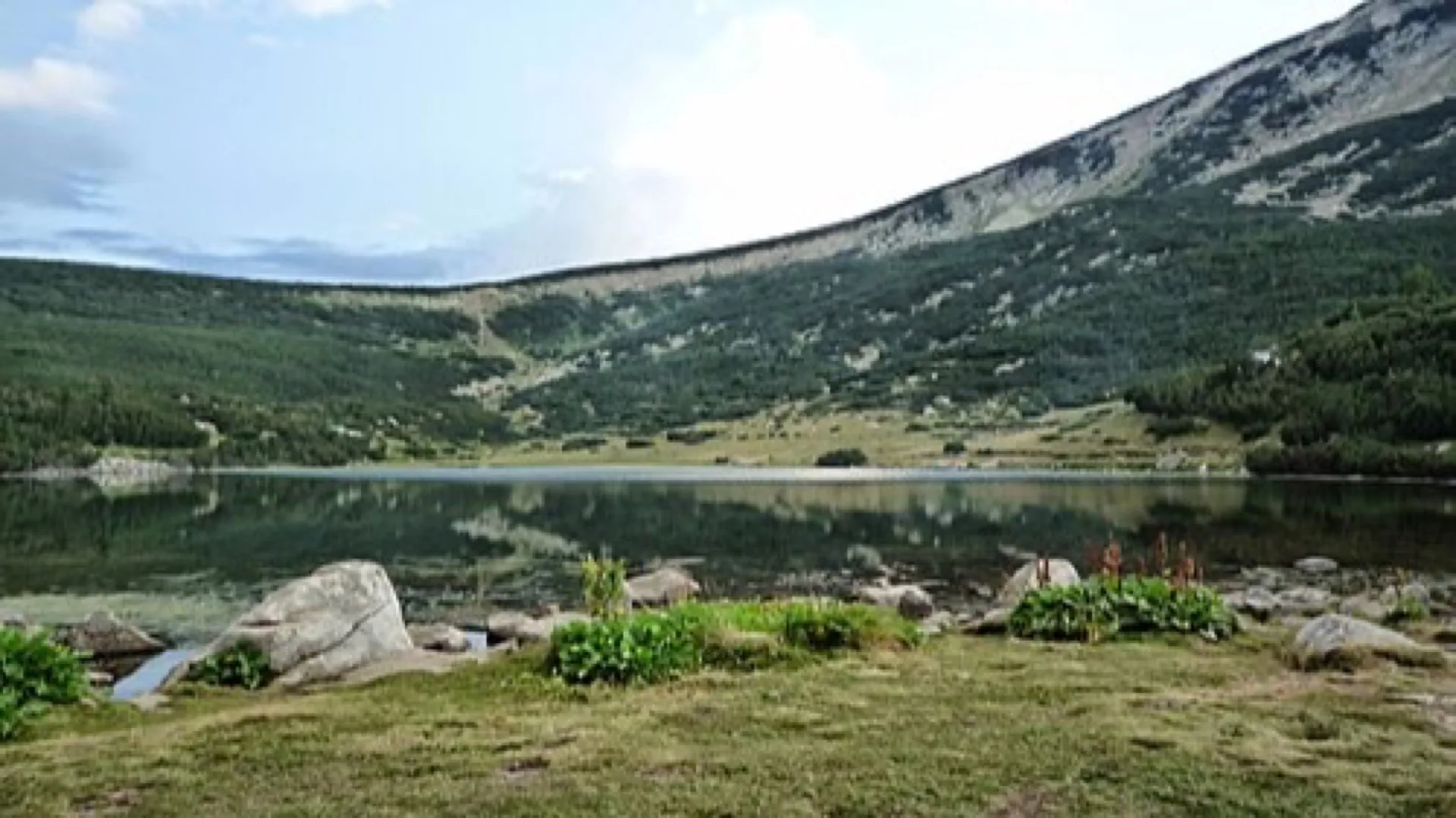 Pirin National Park