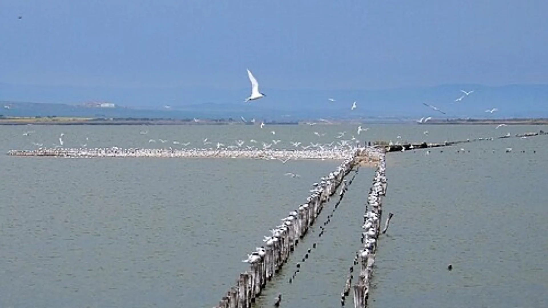 Pomorie & Salt Lakes