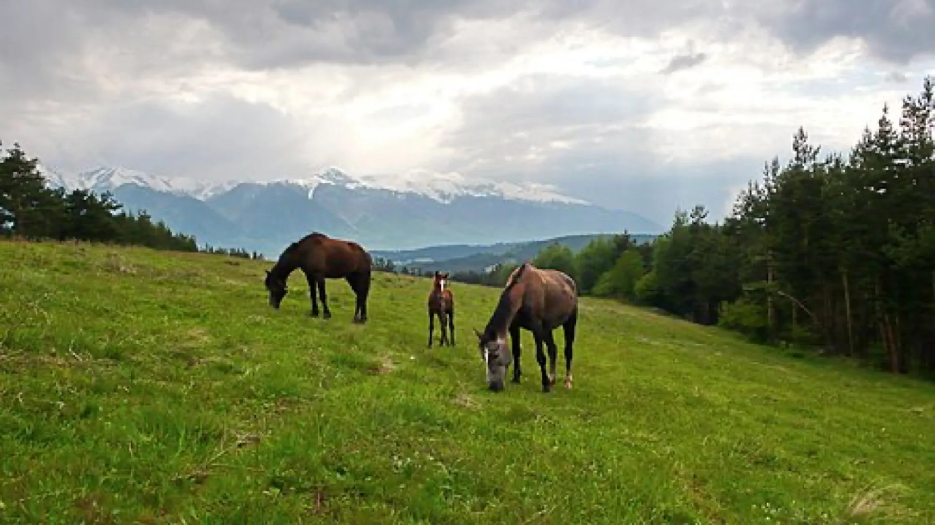 Predel Pass