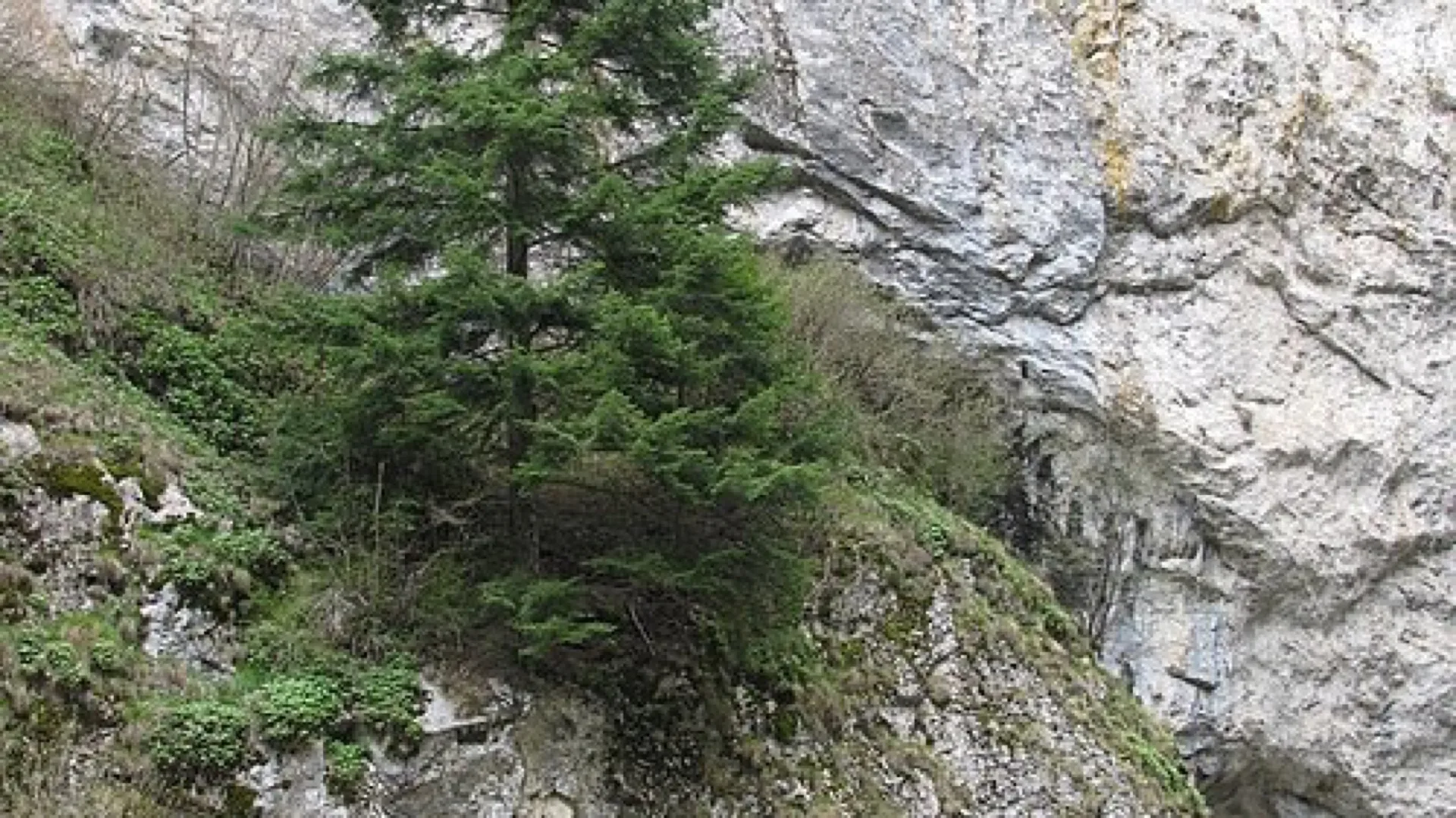 Trigrad Gorge & Devil's Throat Cave